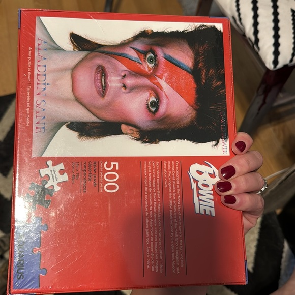 Bowie Aladdin Sane 500 Piece Puzzle - Picture 4 of 5